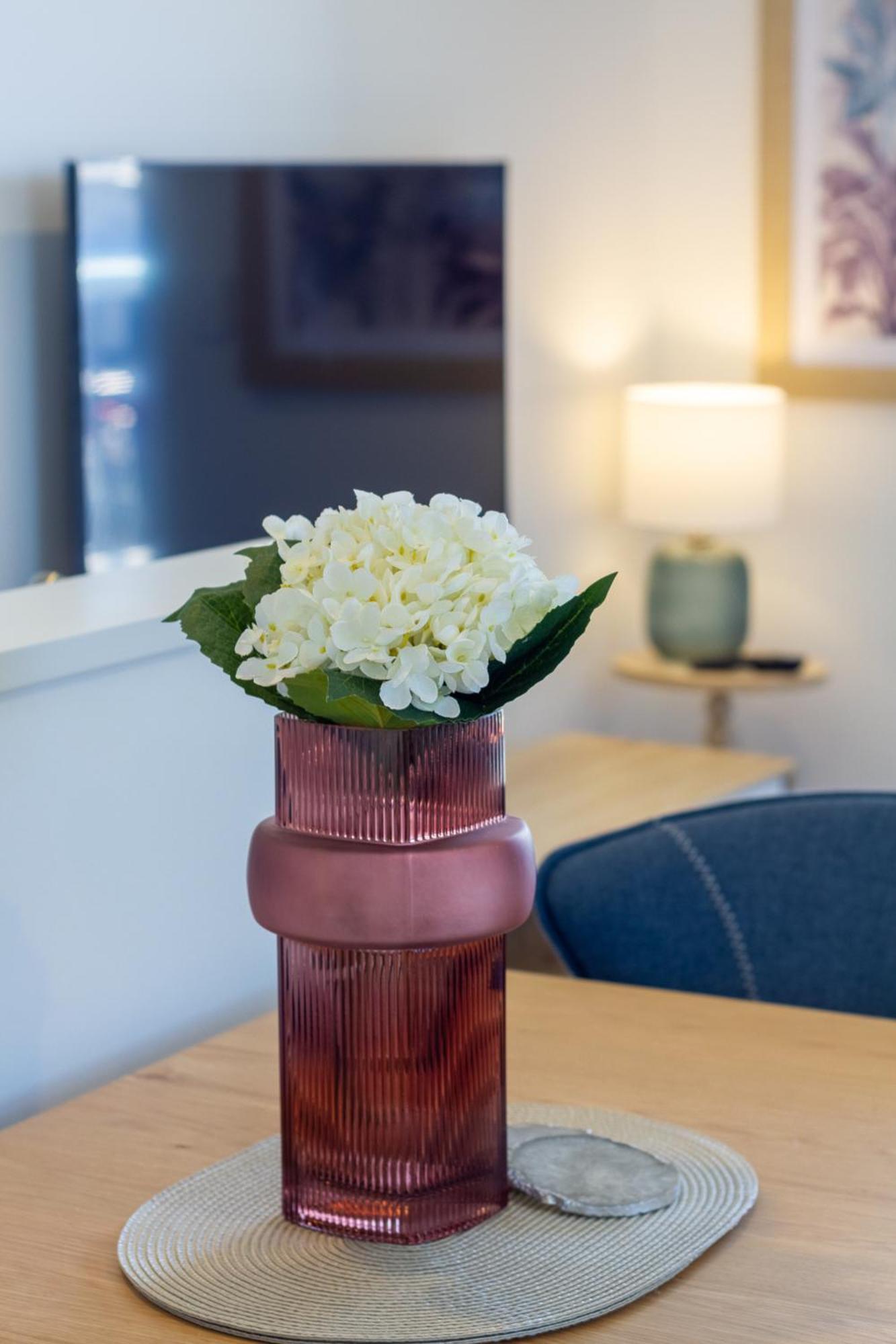 Studio Bliss: Explore From Wilmer St كريستتشيرش المظهر الخارجي الصورة
